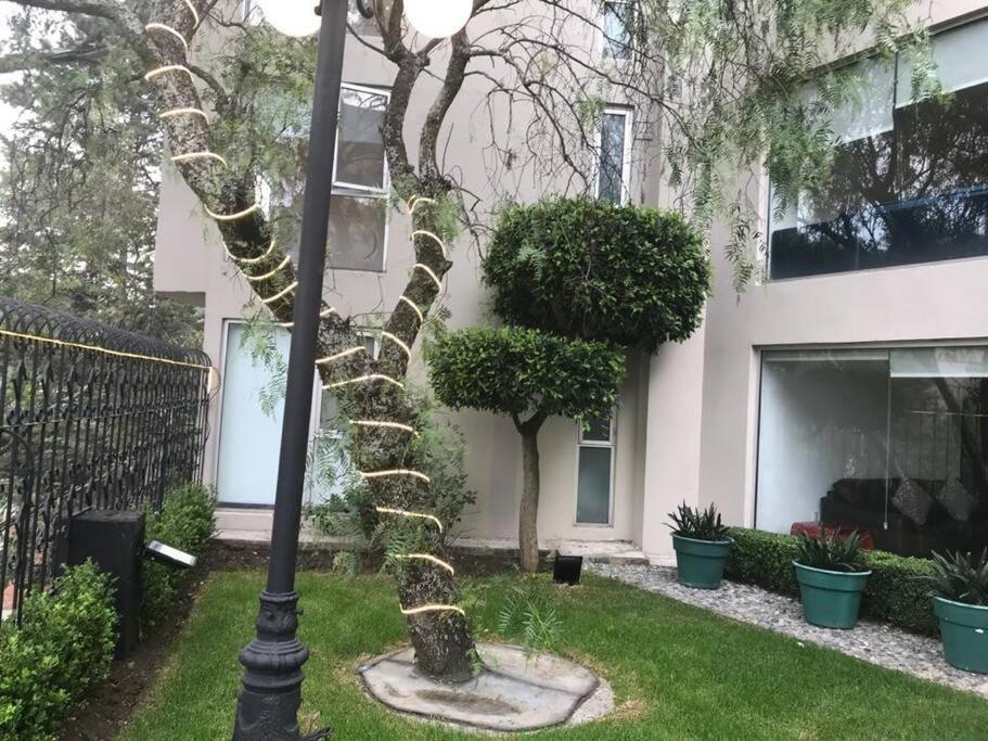 Hermoso Departamento En Bosques De Las Lomas Dos Habitaciones Mexico City Ngoại thất bức ảnh